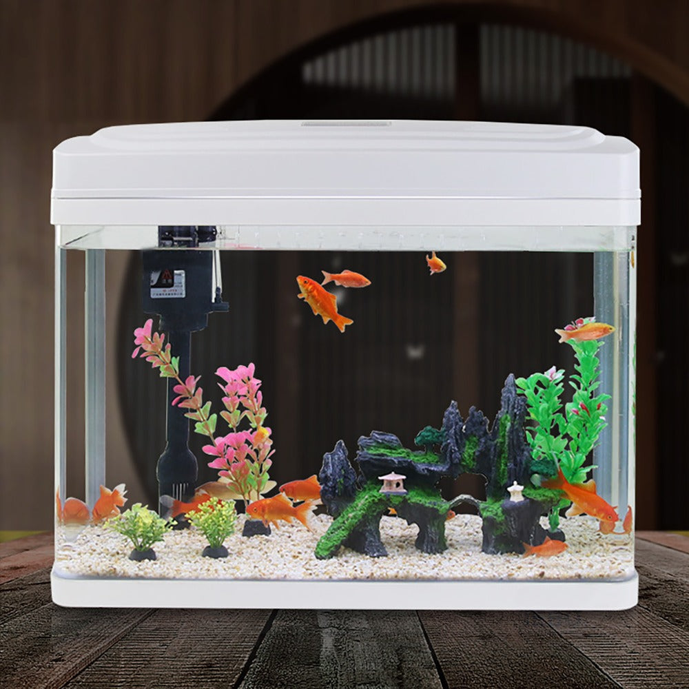 Aquarium shop setup best sale