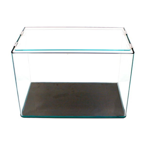 Curved Glass Aquarium Tank - 30 cm (30 x 17 x 20) - Buy Aquarium