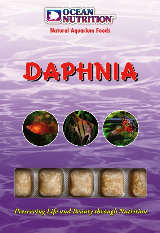 Frozen daphnia shops for betta