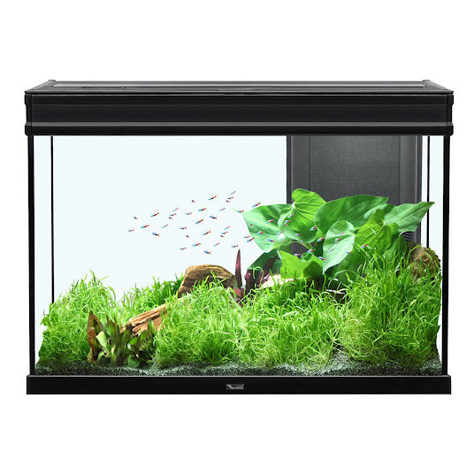 BOYU AQUARIUM FG SERIES 52CM