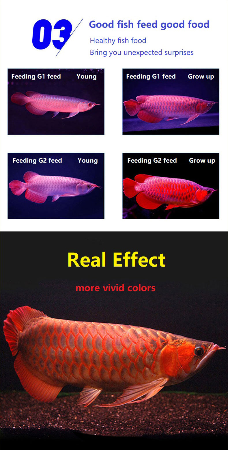 OCEAN FREE AROWANA PELLETS 250G