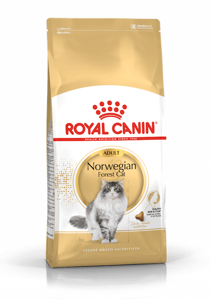 ROYAL CANIN NORWGIAN FOREST ADULT 2KG