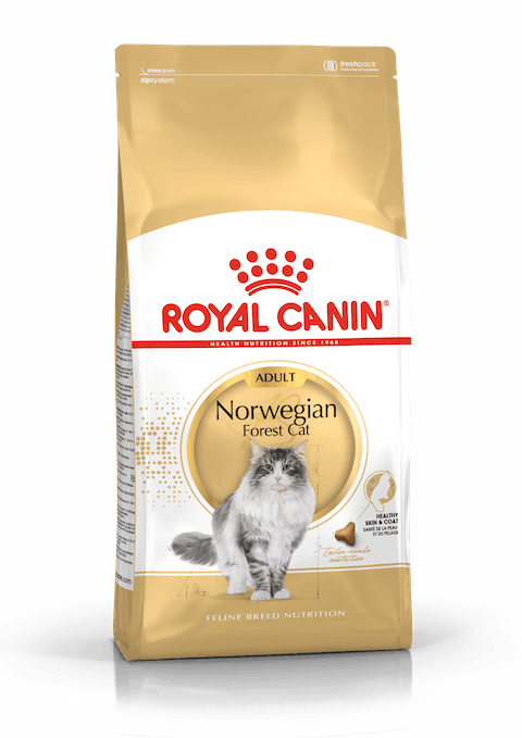 ROYAL CANIN NORWGIAN FOREST ADULT 2KG