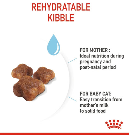 ROYAL CANIN MOTHER AND BABYCAT 400G