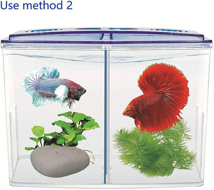 BETTA HOUSE DOUBLE