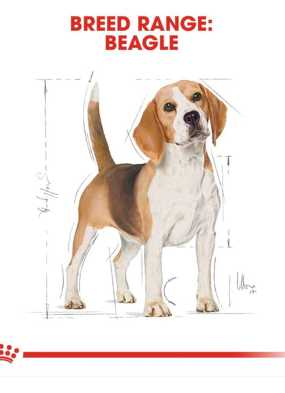 ROYAL CANIN BEAGLE ADULT 3KG