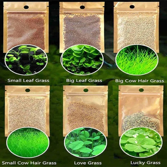 PLANT SEED PACKET