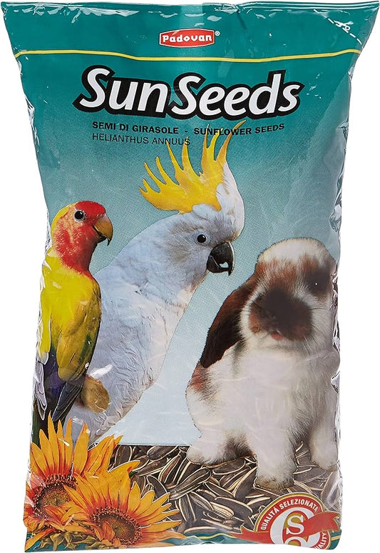 PADAOVAN SUN SEEDS 500G