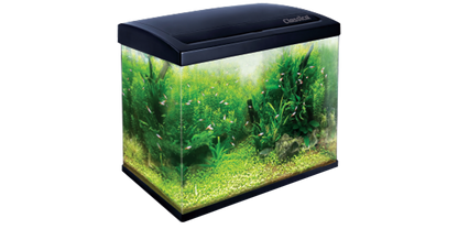 CLASSICA ECO-45 AQUARIUM