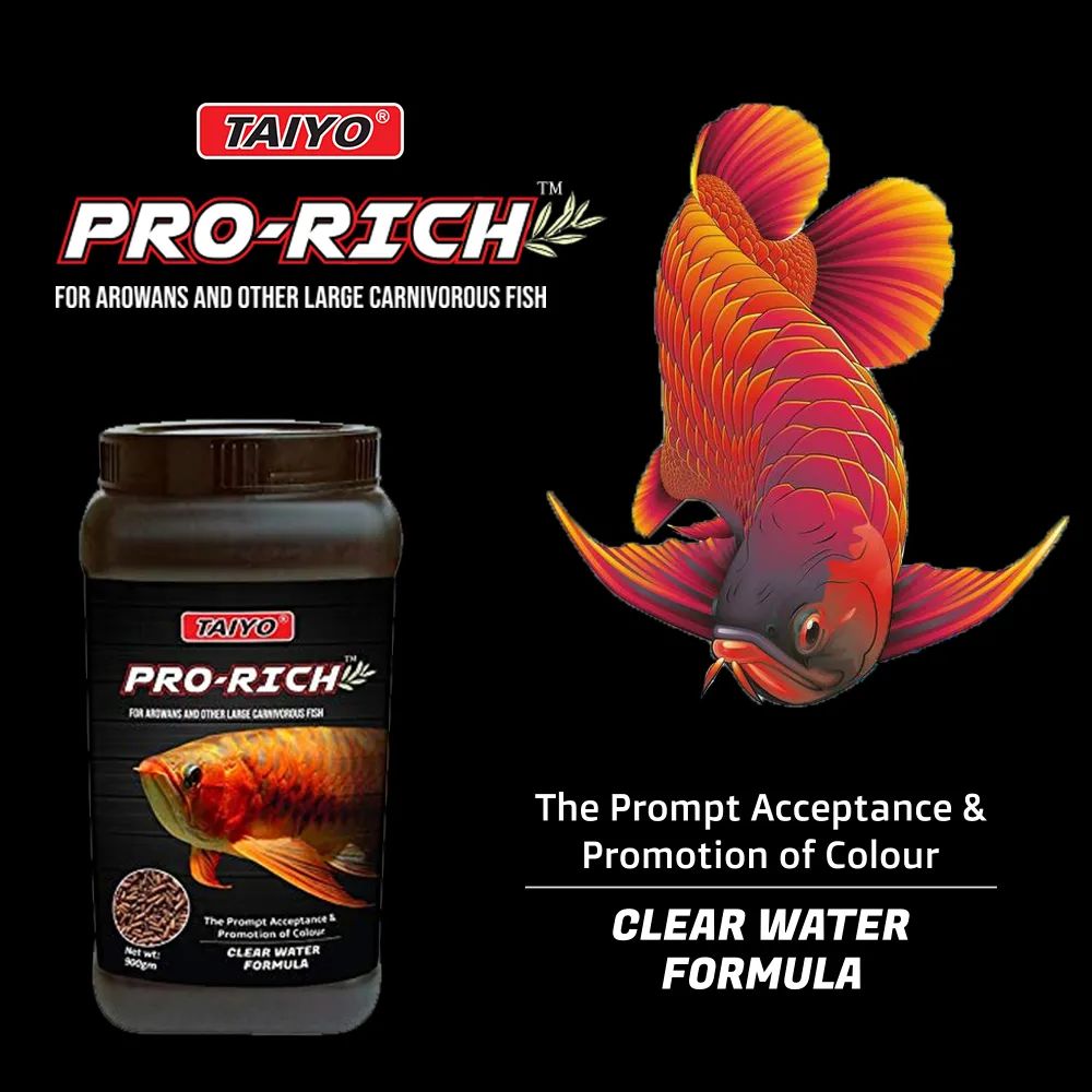 TAIYO PRO-RICH AROWANA FISH FOOD