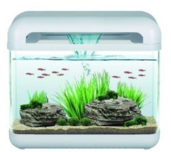 HAQOOS WATERFALL AQUARIUM 15ltr