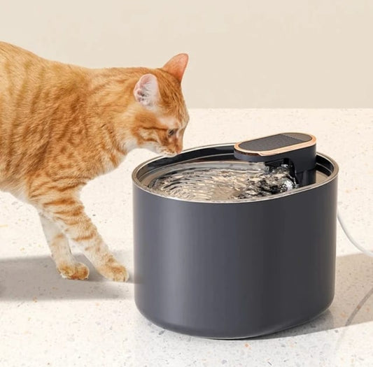 Pet Water Fountain Automatic