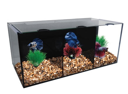 BETTA FISH TANK