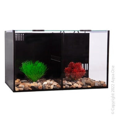 BETTA FISH TANK