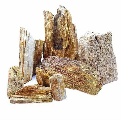 RED WOOD FOSSIL ROCK 1KG