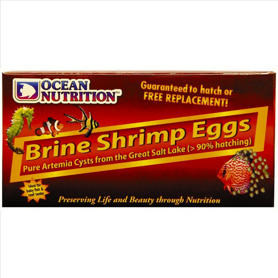 OCEAN NUTRITION BRINE SHRIMP EGGS 20G