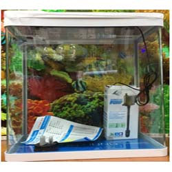 OBLONG  AQUARIUM RJ-500