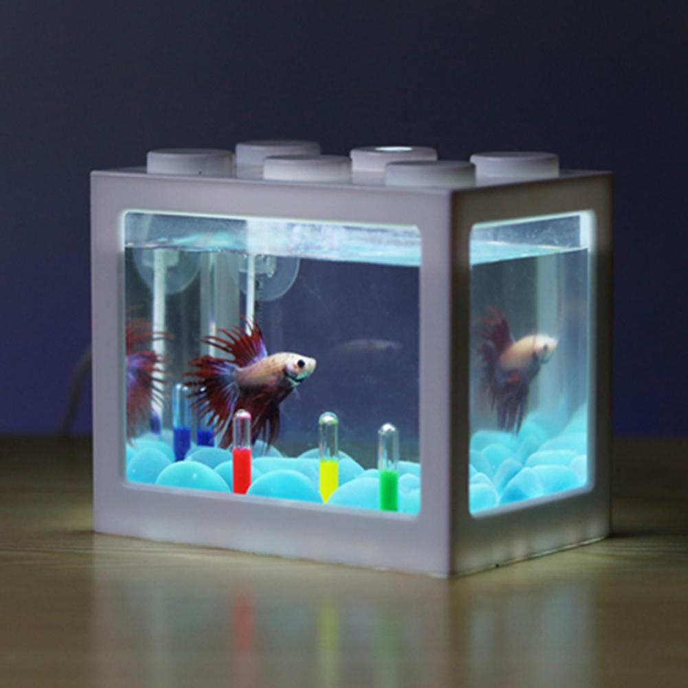 BETTA BOX WITH LED