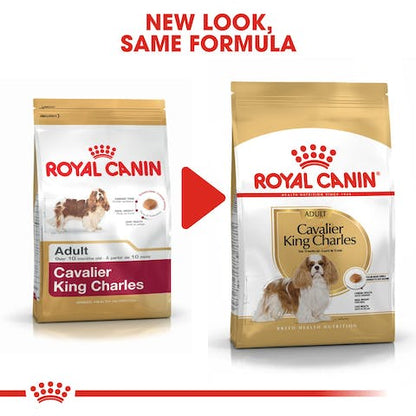 ROYAL CANIN CAVALIER KING CHARLES ADULT 1.5KG