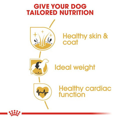 ROYAL CANIN COCKER ADULT 3KG