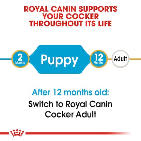 ROYAL CANIN COCKER PUPPY 3KG