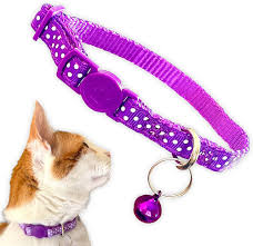 SAAS CAT COLLAR