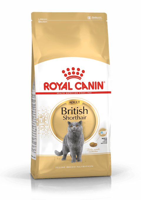 ROYAL CANIN BRITISH SHORTHAIR ADULT 4KG