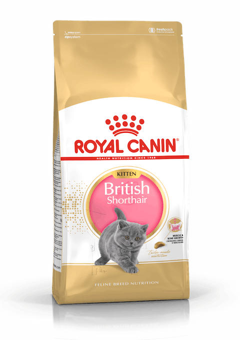 ROYAL CANIN BRITISH SHORTHAIR KITTEN 2KG