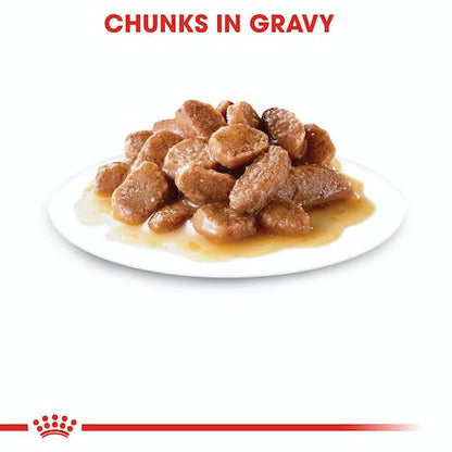 ROYAL CANIN INSTICTIVE GRAVY 85G