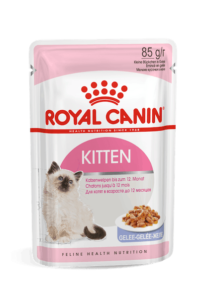 ROYAL CANIN KITTEN JELLY 1 POUCH