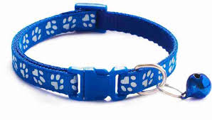 SAAS CAT COLLAR