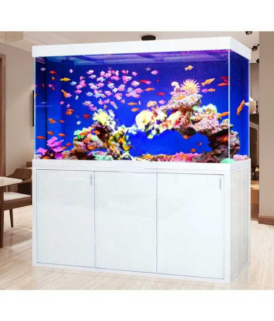 Karis Aquarium with Sumb Filtration