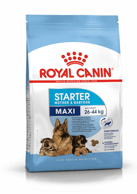 ROYAL CANIN MAXI STARTER 15KG