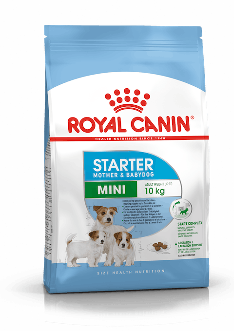 ROYAL CANIN MINI STARTER 1KG