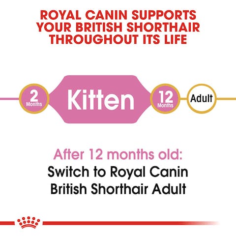 ROYAL CANIN BRITISH SHORTHAIR KITTEN 2KG