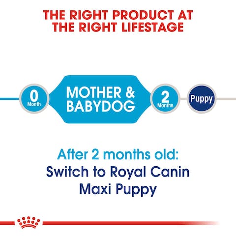 ROYAL CANIN MAXI STARTER 15KG