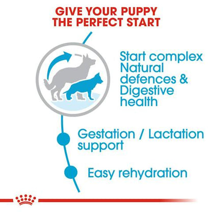 ROYAL CANIN MAXI STARTER 15KG