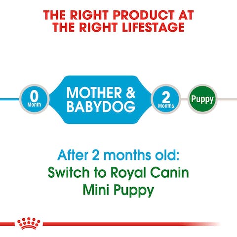 ROYAL CANIN MINI STARTER 1KG