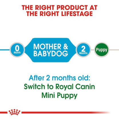 ROYAL CANIN MINI STARTER 1KG