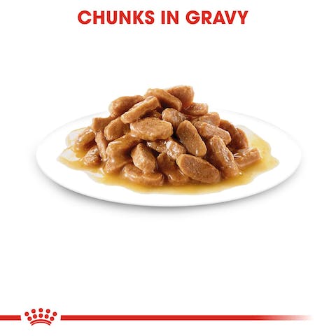 ROYAL CANIN PUPPY MAXI GRAVY 140GR