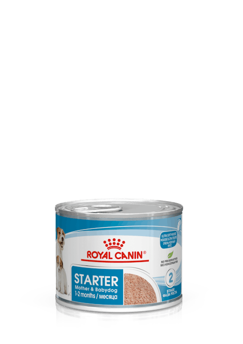 ROYAL CANIN STARTER MOUSSE CANE 195G